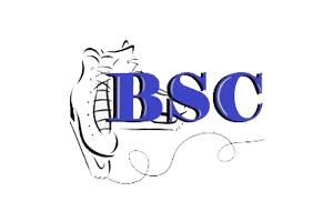 Bassano Skating Club 2024-2025